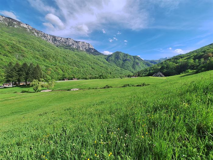 Fotografija 011