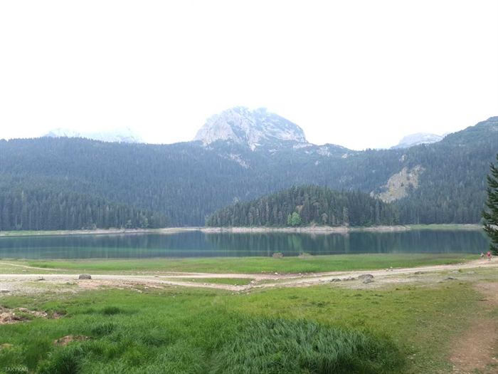 Fotografija 015