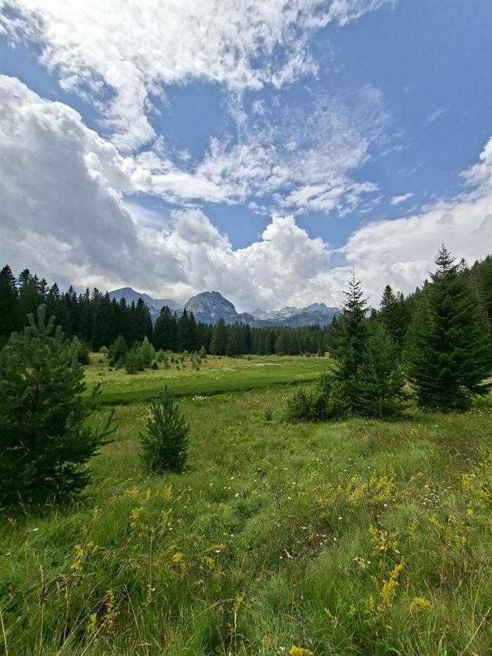 Fotografija 018