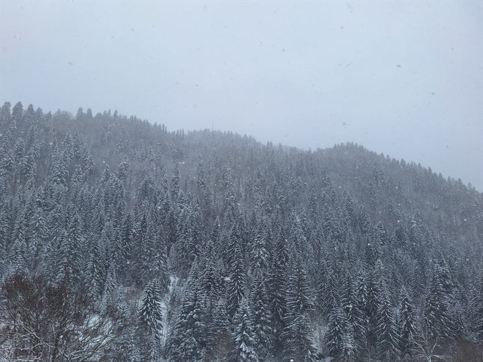 Fotografija 020