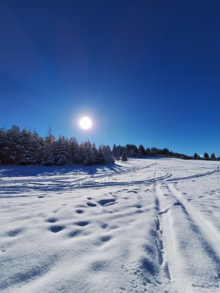 Fotografija 021