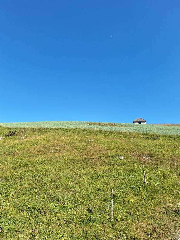 Fotografija 046